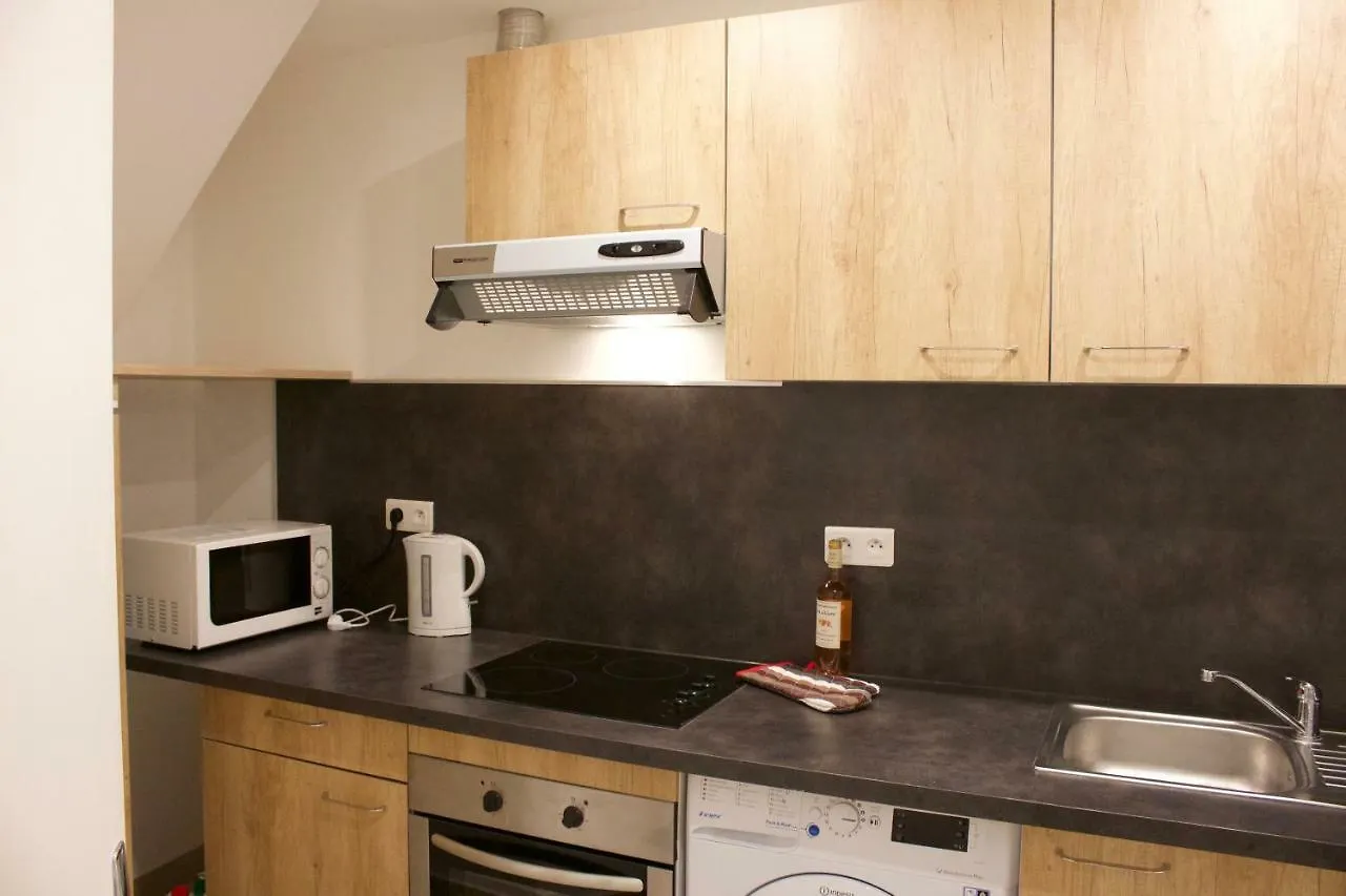 Appartements Les Lions Nizza Francia
