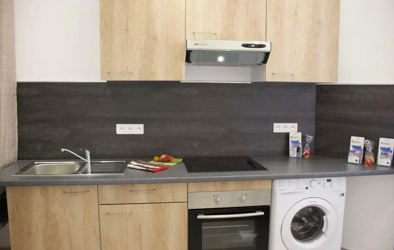 Appartements Les Lions Nice 0*,